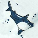 gumii-100523-9th-babador-bandana-shark